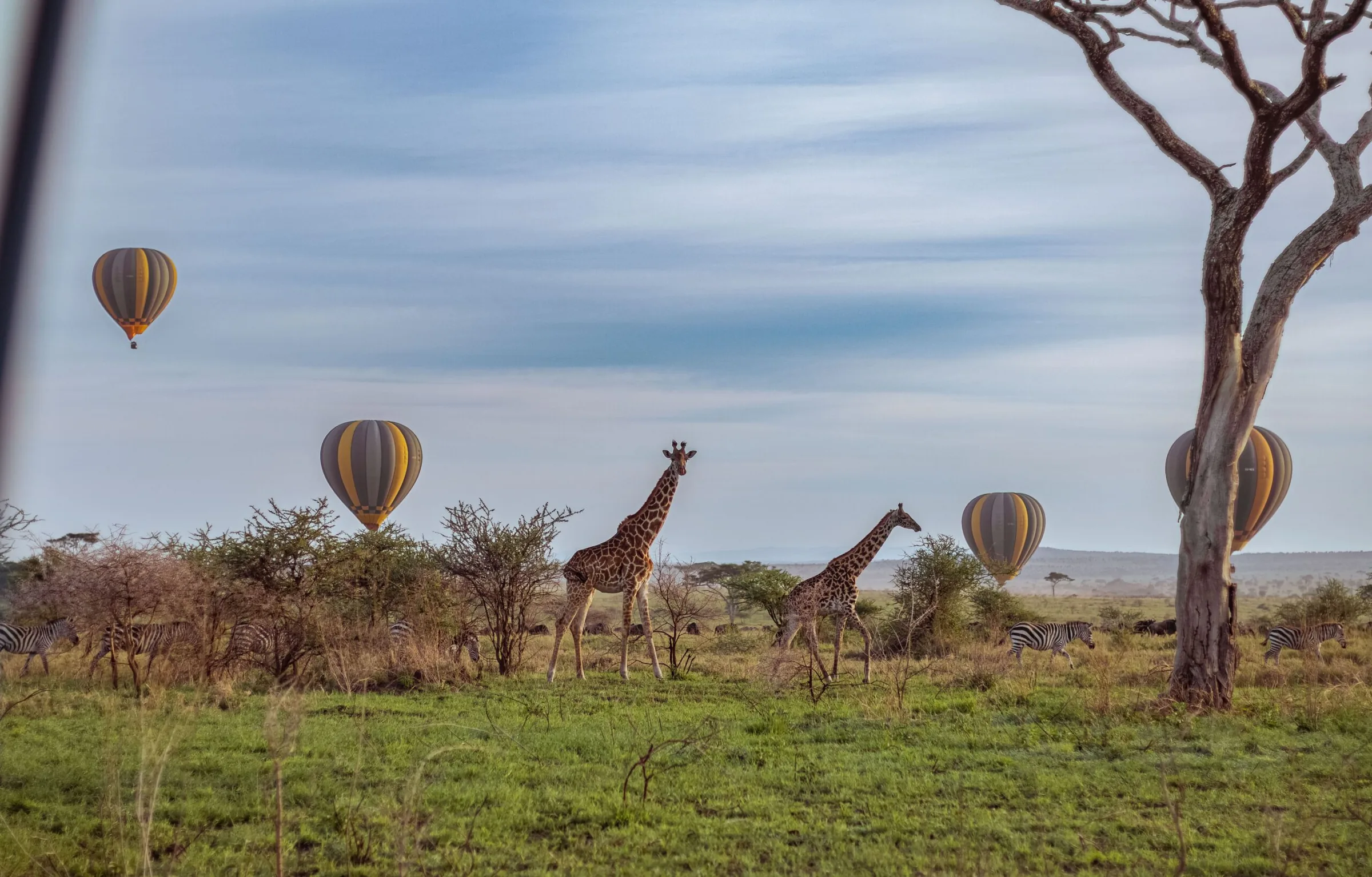 Hot Air Balloon Safari