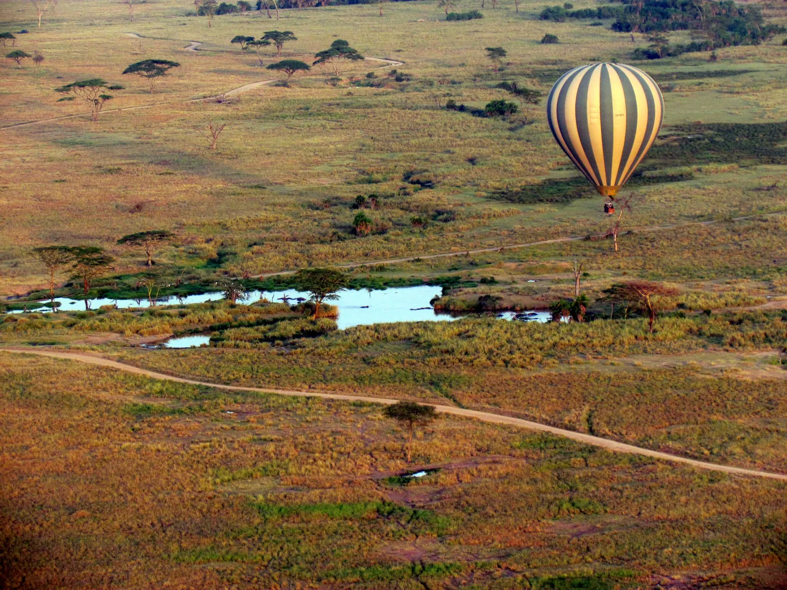 Hot Air Balloon Safari, photo 2 of 8