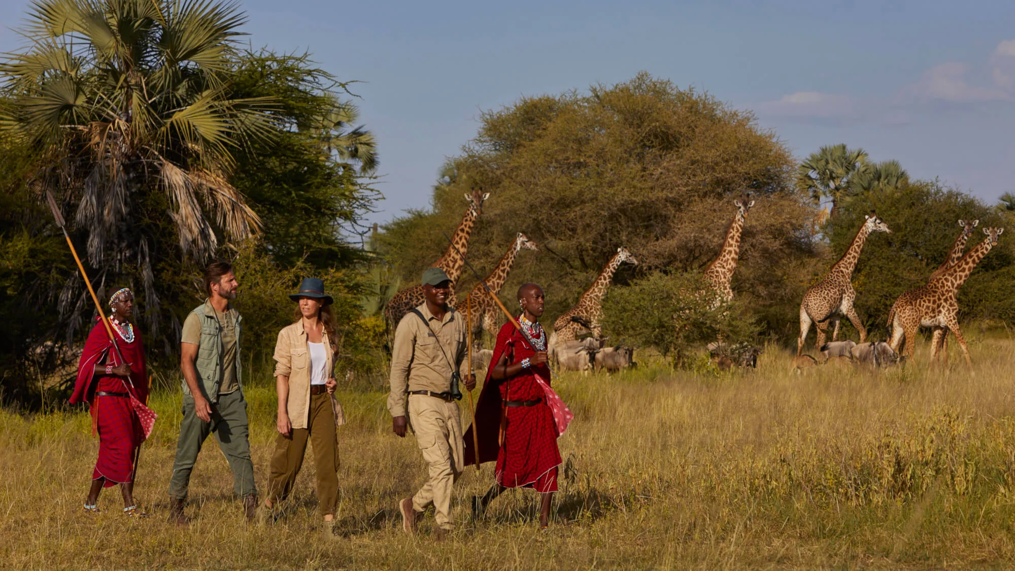 Walking Safari