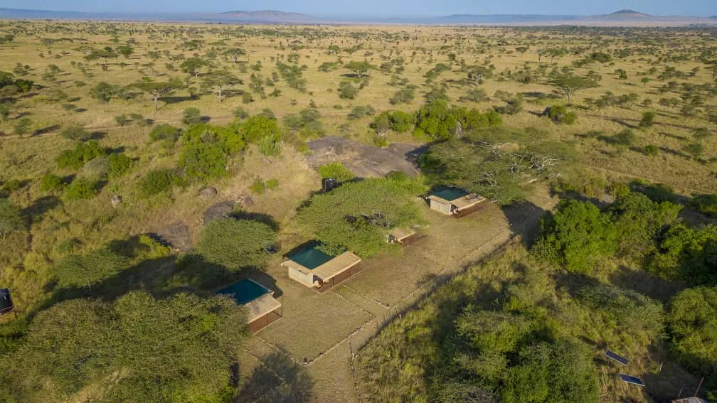 Aerial view of Kisura tents spread through open Serengeti bush with no perimeter fence