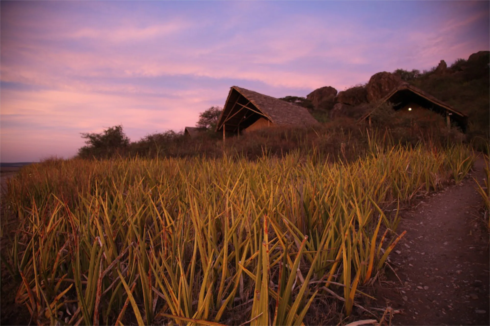 Olduvai Camp