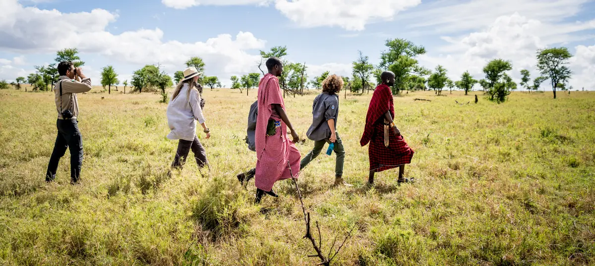 Guests on a guided walking safari across open grassland with their guides