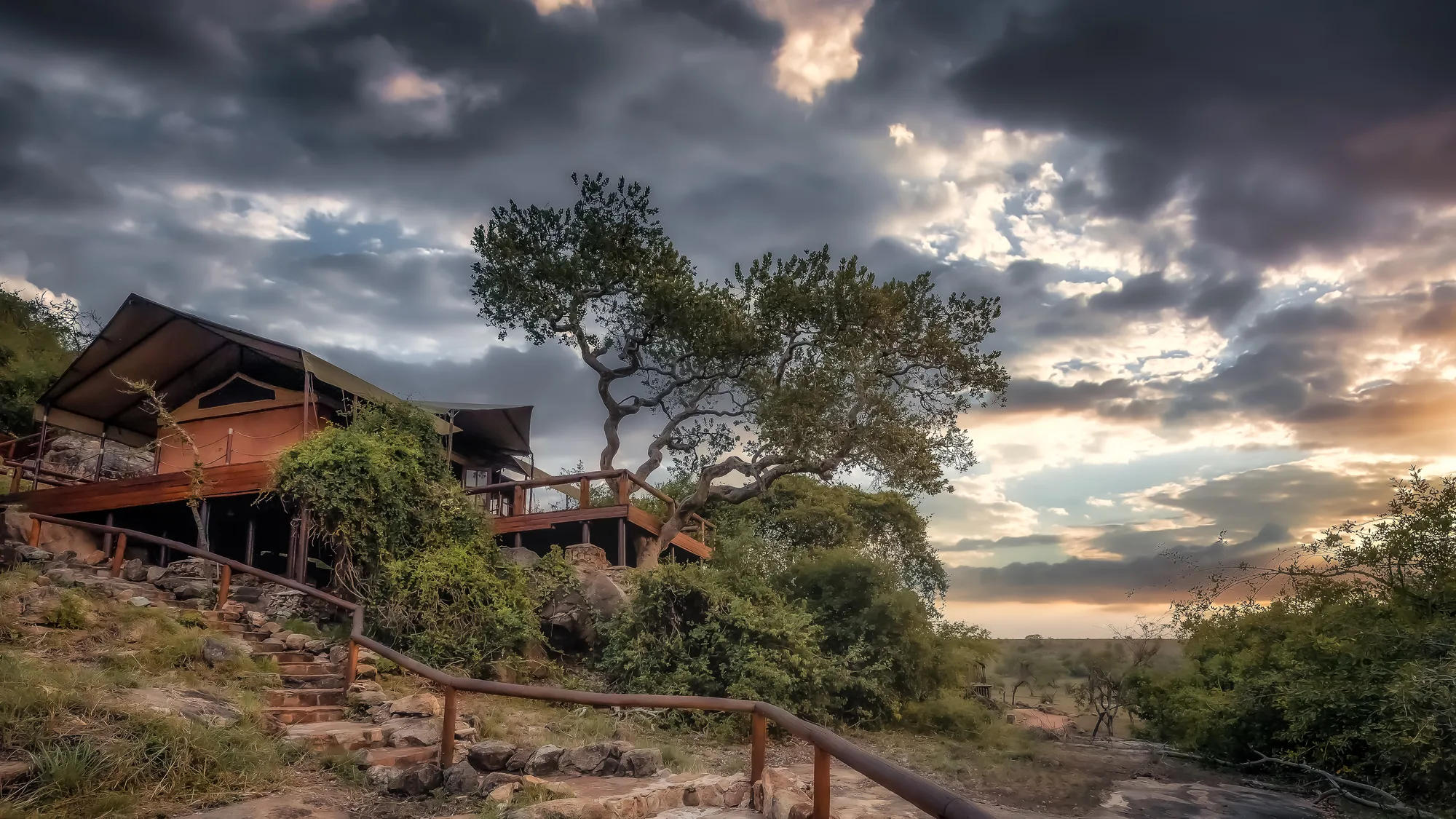Serengeti Migration Camp by Elewana