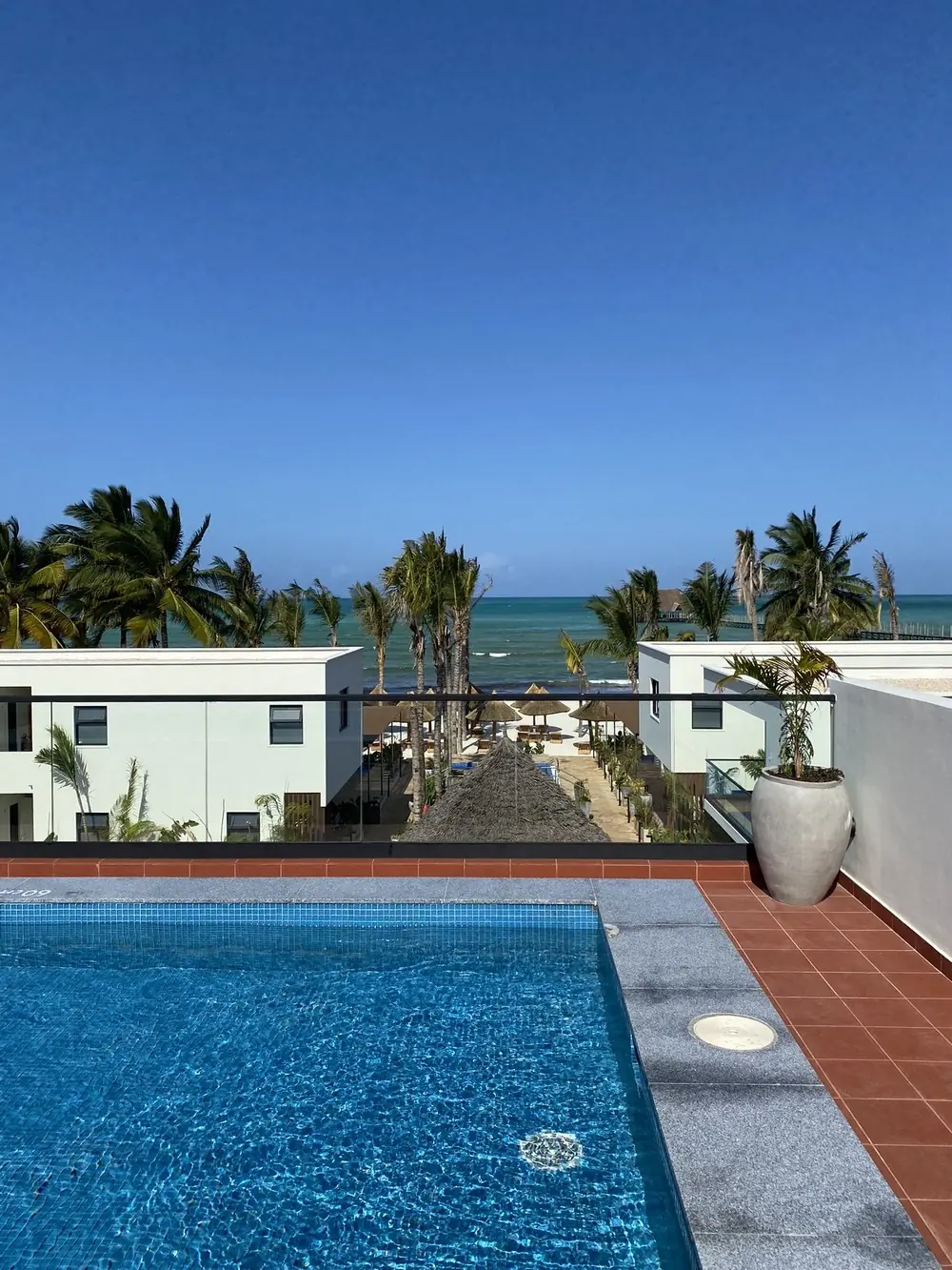 The rooftop pool at TOA Hotel and Spa looking over palm trees to the reef and open ocean